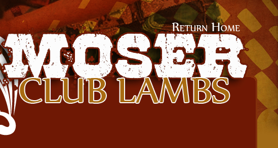 Moser Club Lambs