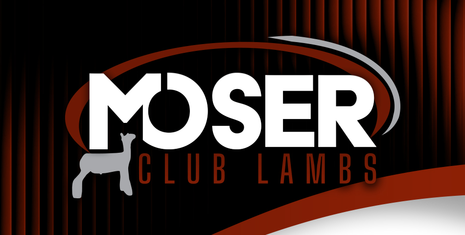 Moser Club Lambs