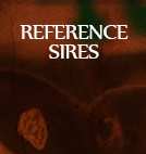 Reference Sires