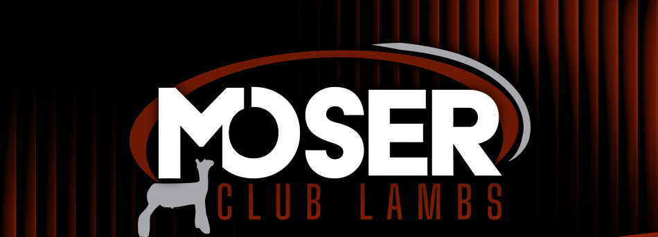 Moser Club Lambs