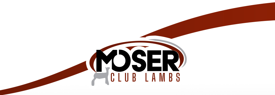 Moser Club Lambs