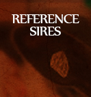 Reference Sires